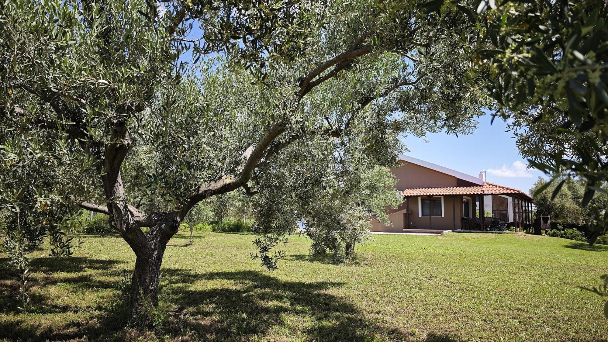 Casa Dikella Villa Mesimvria  Exterior photo
